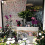 Le Jardin de Saint Augustin
